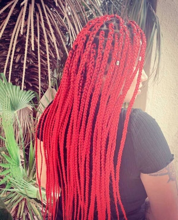 Twist Braids (pequeñas o finas)